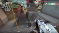 1645626167319.mp4