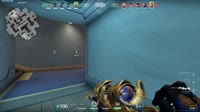 1691593246678.mp4