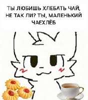 17403758750460.jpg