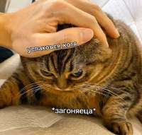 1596121954923.jpg
