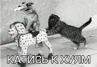 1734697539588.png