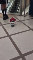 17494251565090.mp4