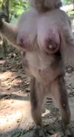 17518978751710.mp4