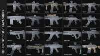leaked-weapon-icons-v0-k88sxhbtleve1.webp