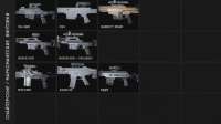 leaked-weapon-icons-v0-u65phibtleve1.webp