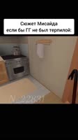 17441067280410.mp4