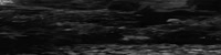 72692958.webm