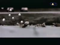 RMB Reality.mp4