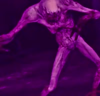 17455183349311.mp4