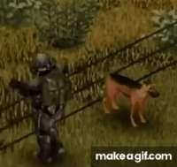 R7nEvr.gif