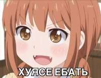 1749859661522.jpg