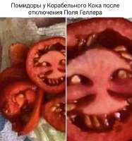 2qdsihnr.jpg