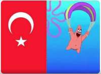 17374712812920.jpg