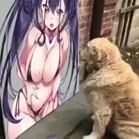 17441516712820.mp4