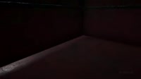 videoplayback (1).mp4