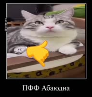 Абаюдна.mp4