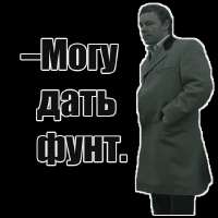 1738005541867.webp