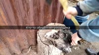 174428393551540766.webm