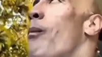 17305748213980.mp4