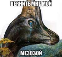 17397212305110.jpg