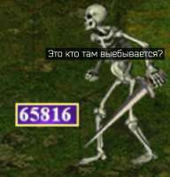 1737061648981.jpg