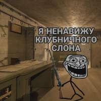 qSECGutVzcE.jpg
