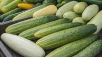 image (64).webp