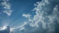 image (44).webp