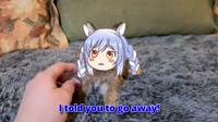 pekora rabbit vs human Animal hololive.mp4