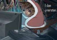 donunderstand.png