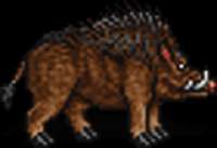 HeroesIIBoar.webp