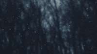 tumblrmzxjtiTMIy1qddrn0o1500.gif