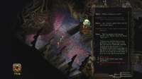 17290607501620.webp
