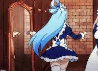 aqua maid.gif