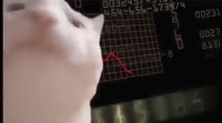 16787192080822.mp4