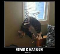 14508786883431.png