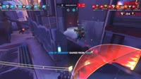 garv.webm