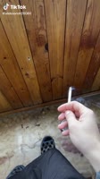 16689177592620.mp4