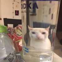 564.png