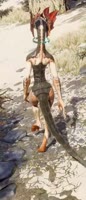 17295444757210.webm