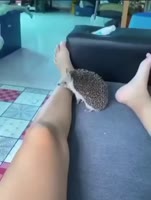 1746467854228.webm