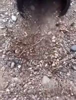 1746472650402.MP4