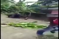 1709603136721.mp4