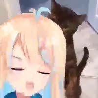 8458458548.mp4
