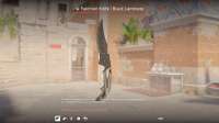 Counter-strike 2 Screenshot 2025.05.19 - 18.58.42.53.png