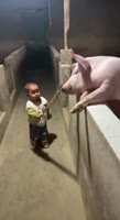 174673193581677357.mp4