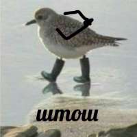 1724373563780.jpg