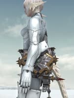 smn.mp4
