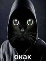 AQAKcIaW4zrOGZUZXmlsjZZHuOJzieyEUrO0jT25d1utuUfofGMhH5fjN2fMWGPQD3VHQCsbt0v0t9NP1Gk4MneA.jpg