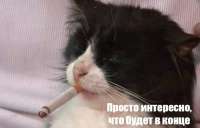xXdoAqmNsmQ.jpg